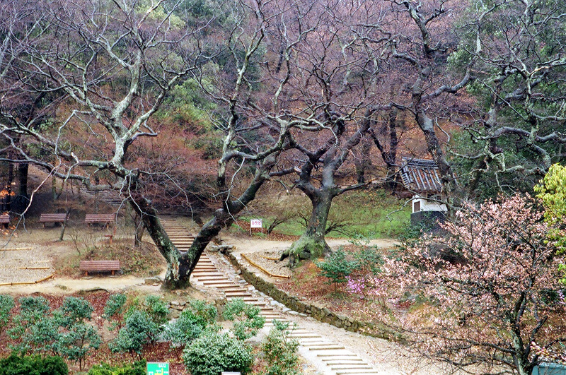 이미지를 클릭하면 원본을 보실 수 있습니다.