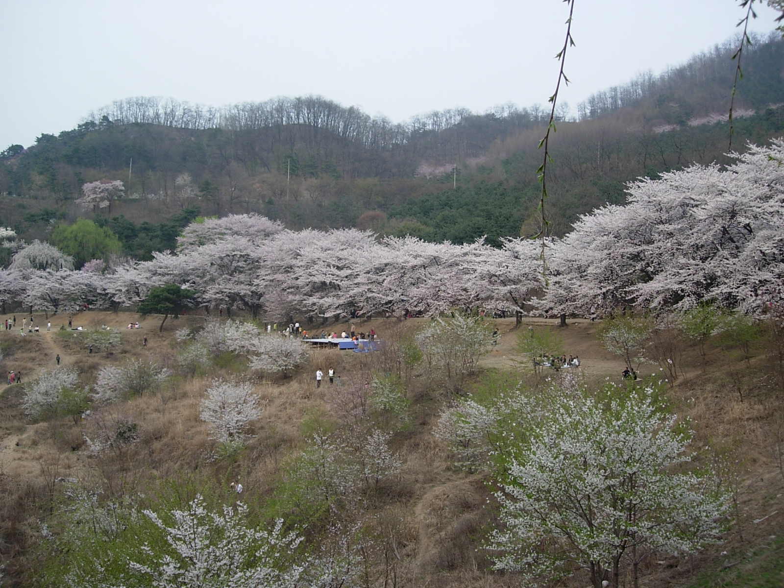 이미지를 클릭하면 원본을 보실 수 있습니다.