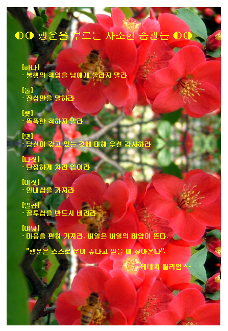 이미지를 클릭하면 원본을 보실 수 있습니다.