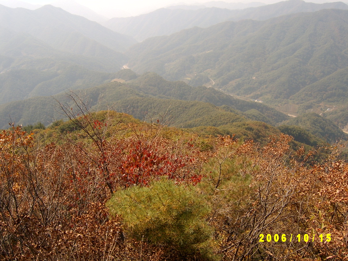이미지를 클릭하면 원본을 보실 수 있습니다.