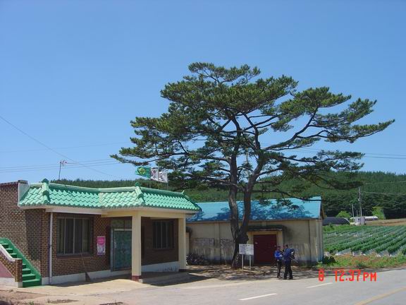 이미지를 클릭하면 원본을 보실 수 있습니다.