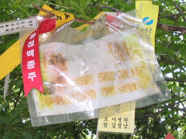 이미지를 클릭하면 원본을 보실 수 있습니다.