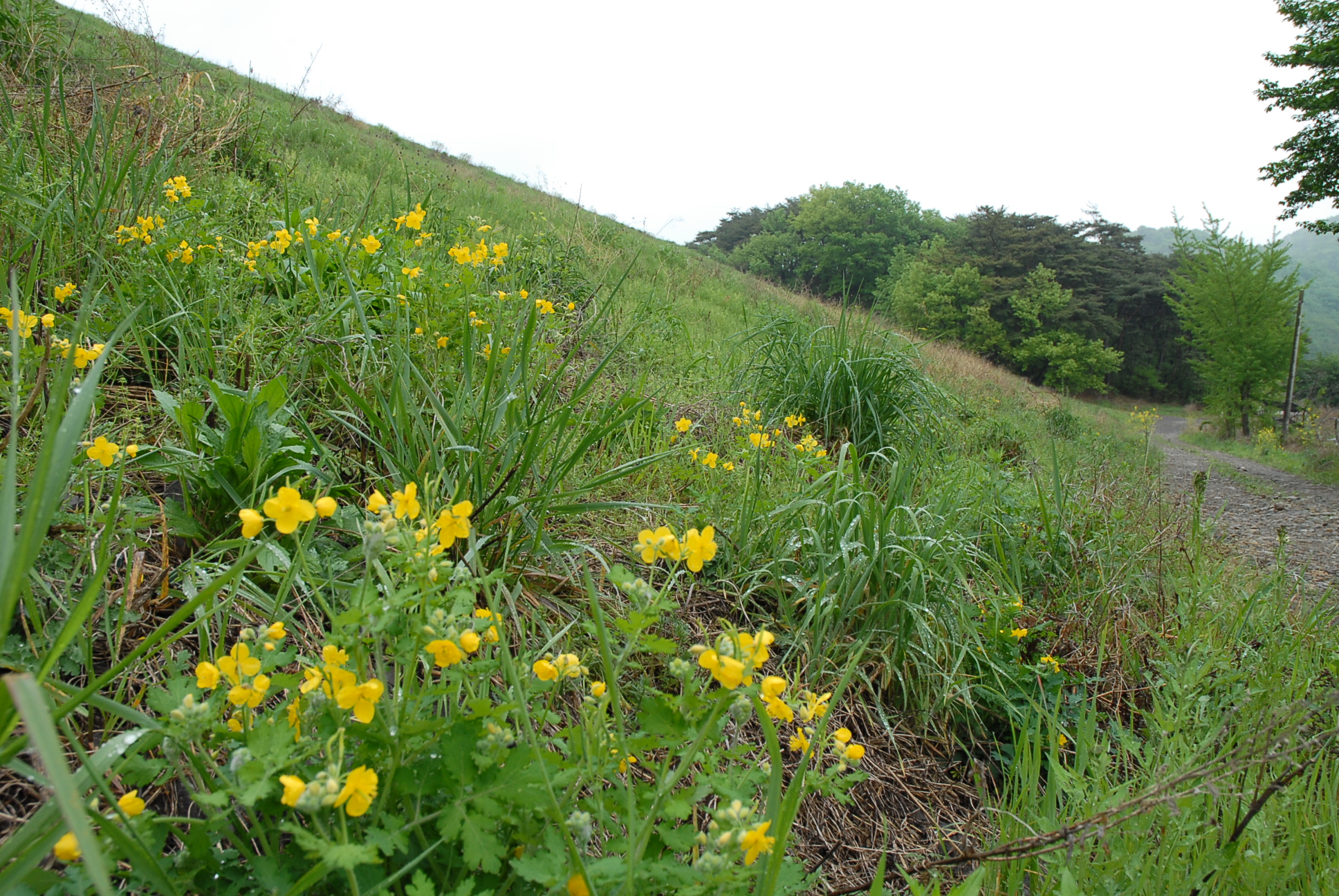 이미지를 클릭하면 원본을 보실 수 있습니다.