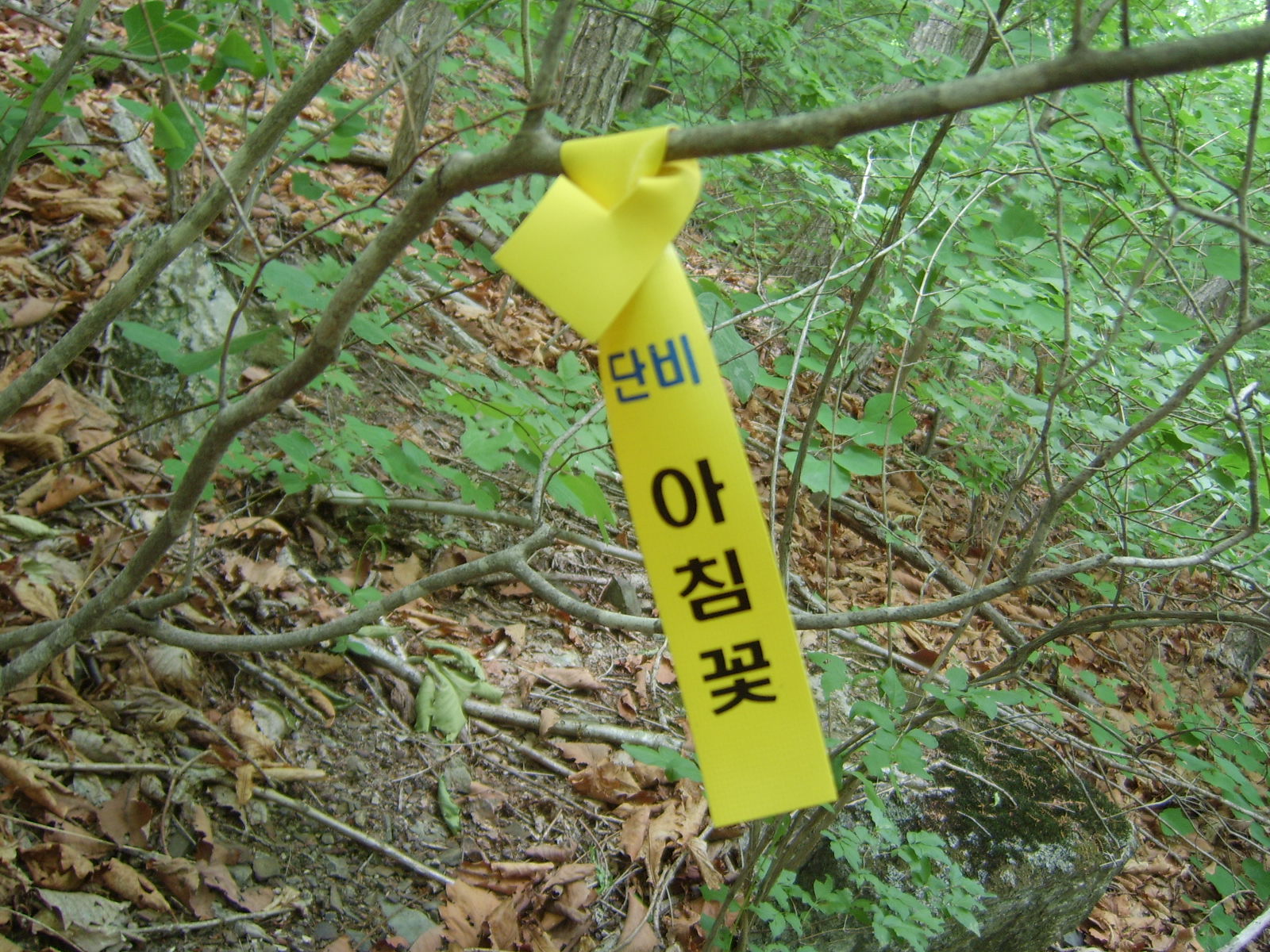 이미지를 클릭하면 원본을 보실 수 있습니다.