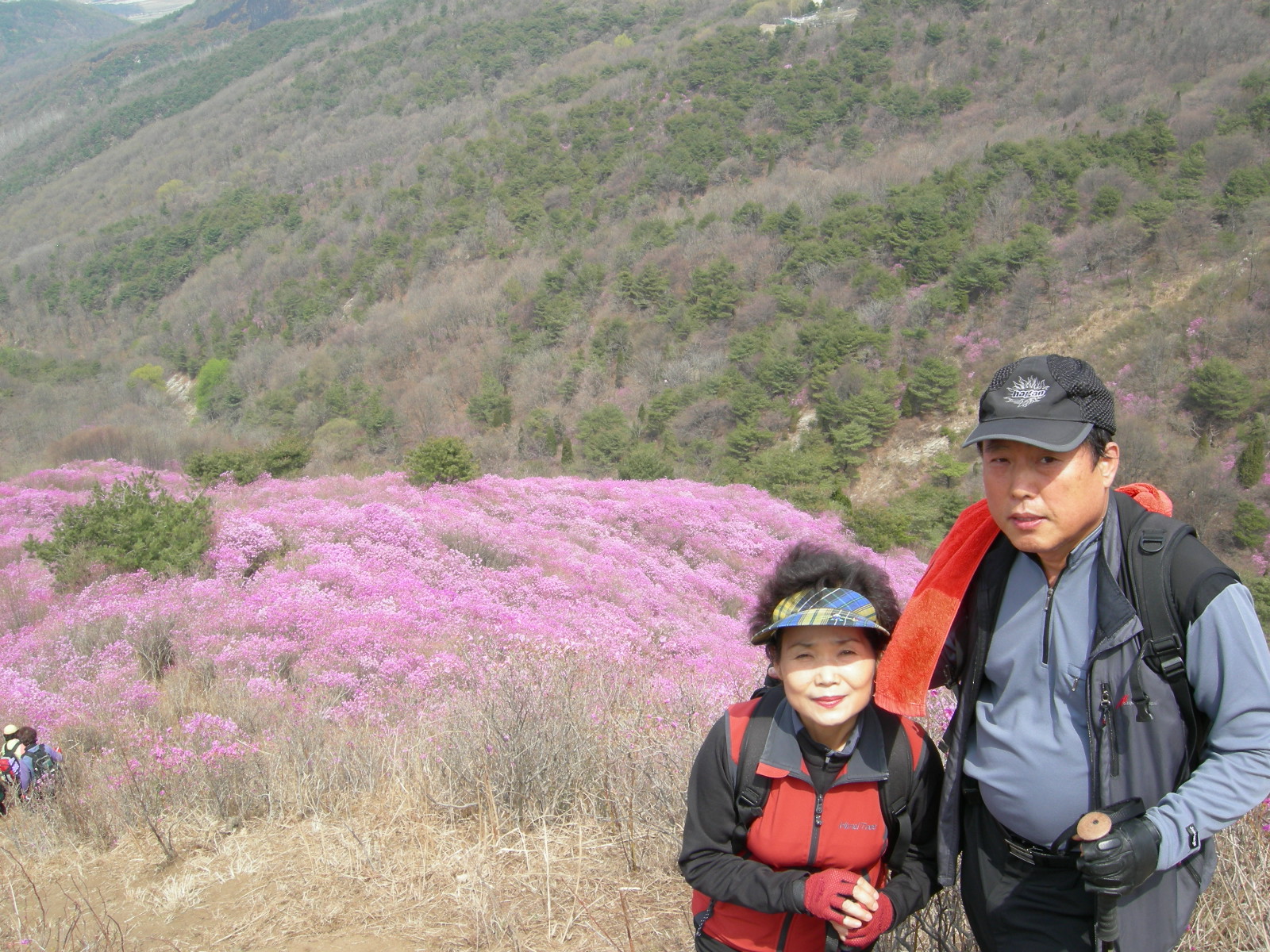 이미지를 클릭하면 원본을 보실 수 있습니다.