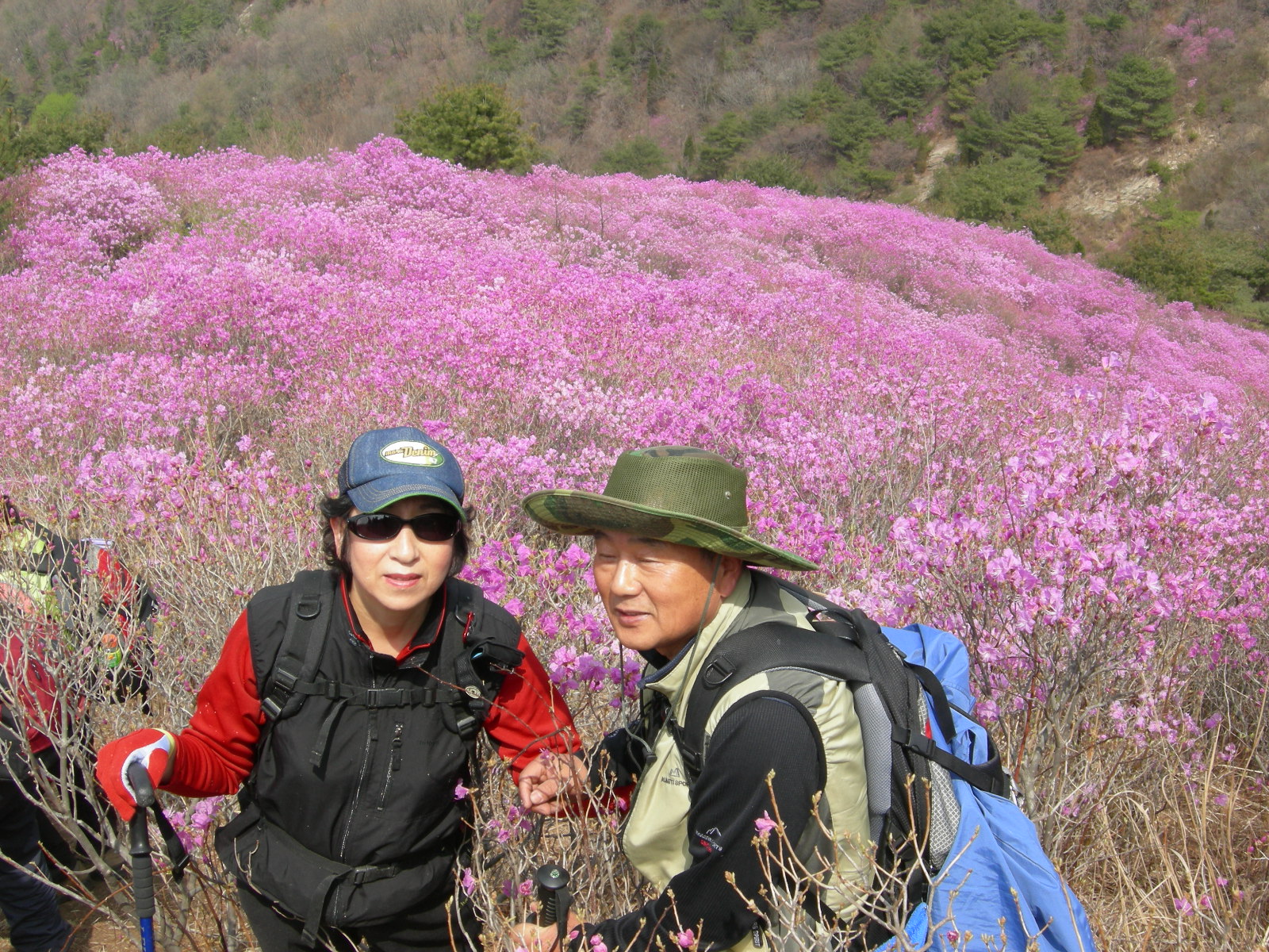 이미지를 클릭하면 원본을 보실 수 있습니다.