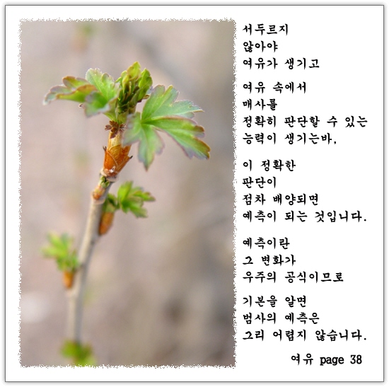 이미지를 클릭하면 원본을 보실 수 있습니다.