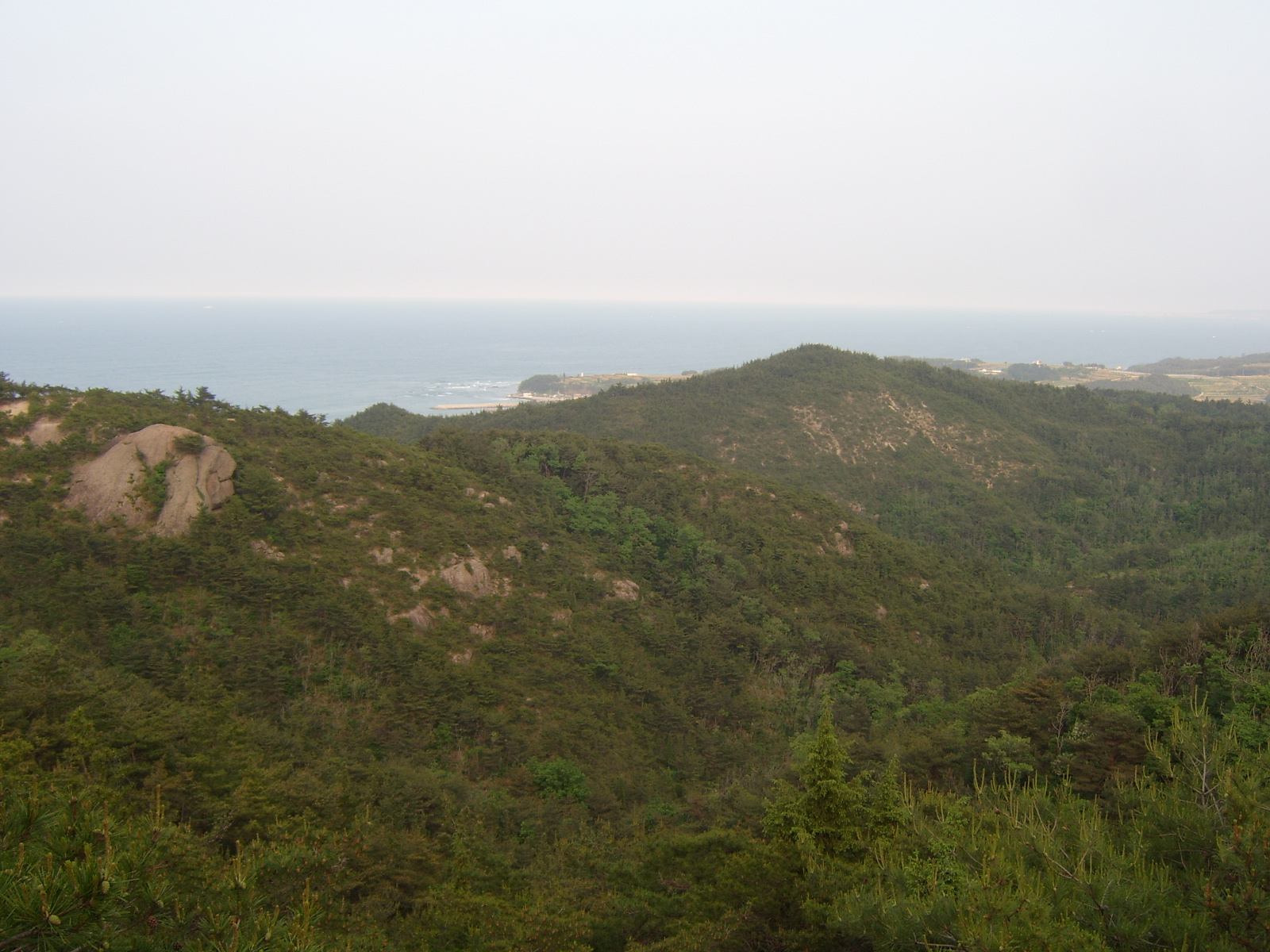 이미지를 클릭하면 원본을 보실 수 있습니다.