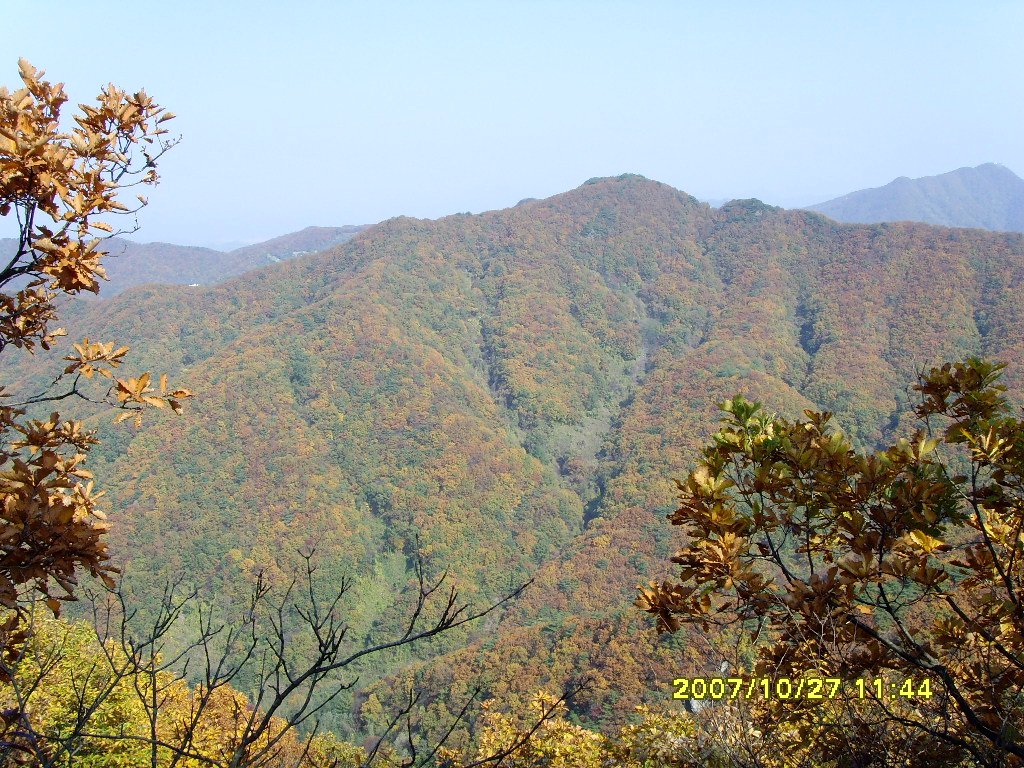 이미지를 클릭하면 원본을 보실 수 있습니다.