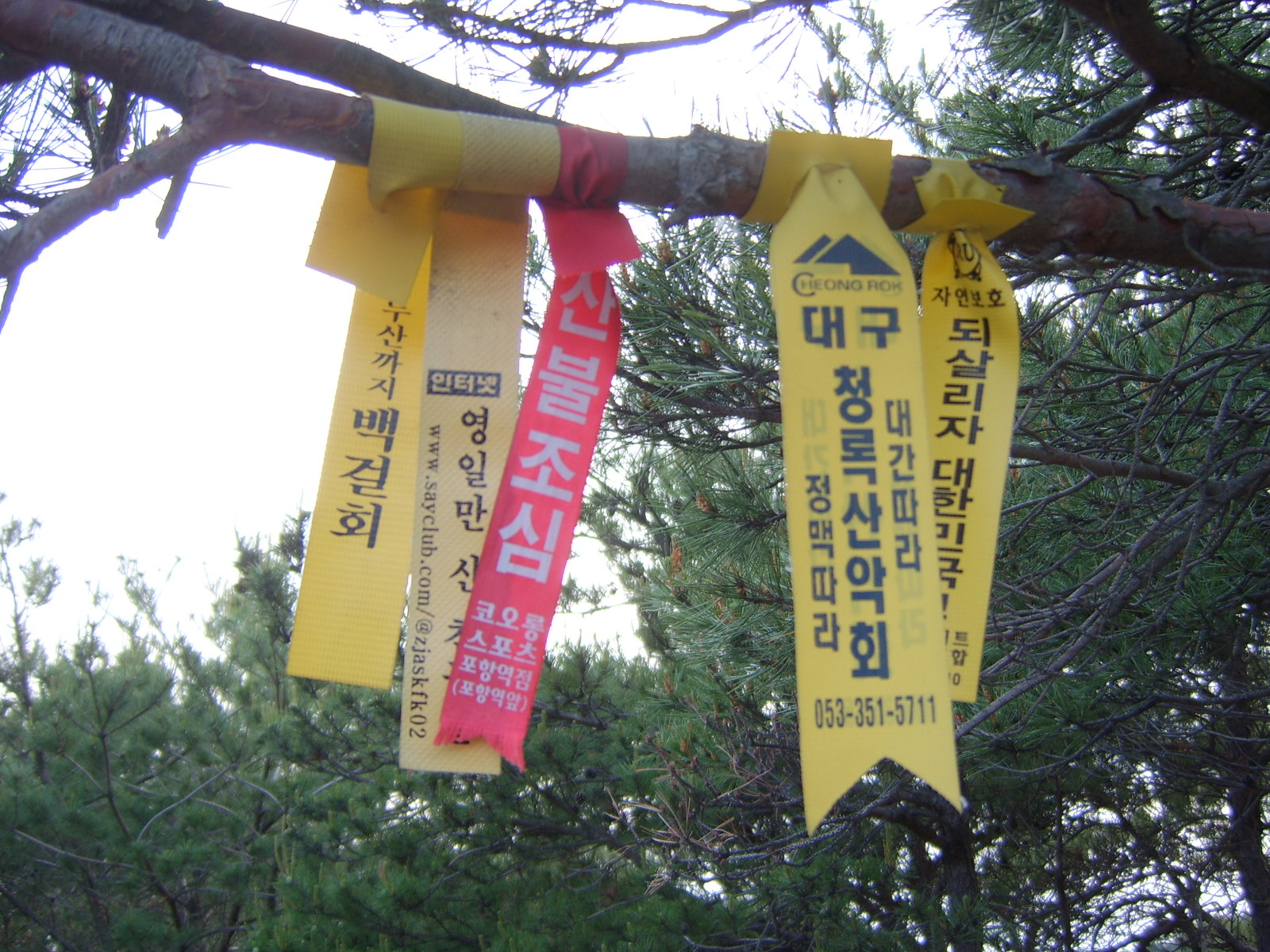 이미지를 클릭하면 원본을 보실 수 있습니다.