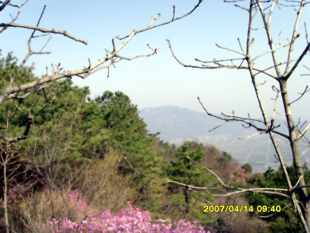 이미지를 클릭하면 원본을 보실 수 있습니다.