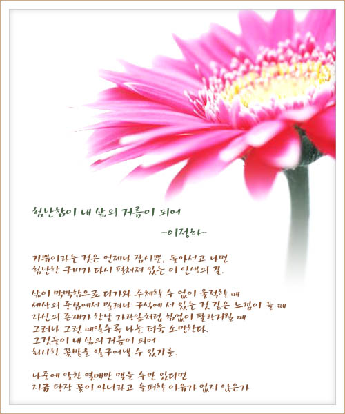 이미지를 클릭하면 원본을 보실 수 있습니다.