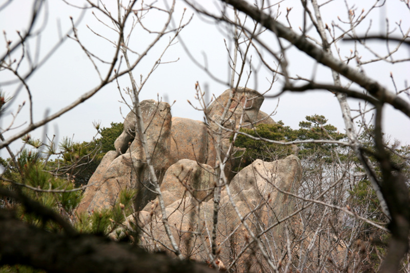 이미지를 클릭하면 원본을 보실 수 있습니다.