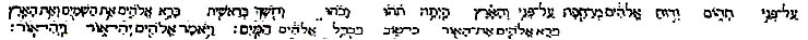 태초에 엘로힘께서 우리의 모습대로 인간을 만들자(창세기1/26)