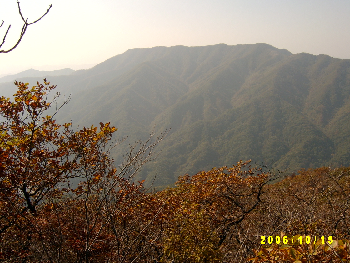 이미지를 클릭하면 원본을 보실 수 있습니다.