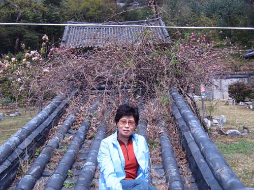 이미지를 클릭하면 원본을 보실 수 있습니다.