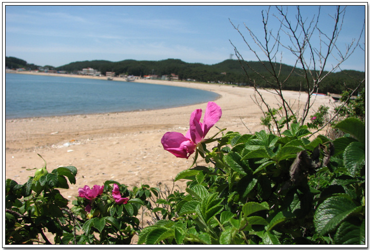 이미지를 클릭하면 원본을 보실 수 있습니다.