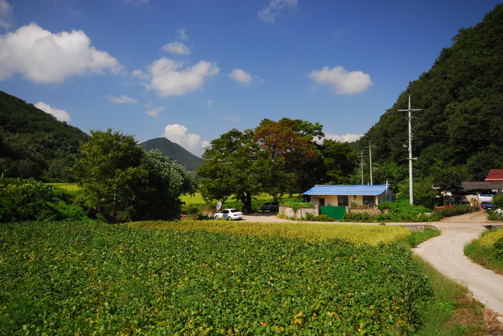 이미지를 클릭하면 원본을 보실 수 있습니다.