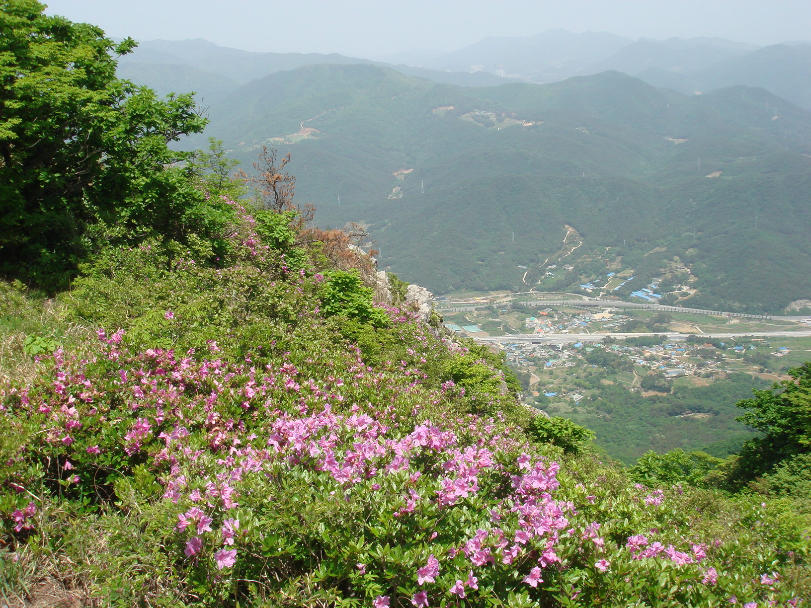 이미지를 클릭하면 원본을 보실 수 있습니다.