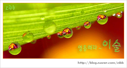 이미지를 클릭하면 원본을 보실 수 있습니다.
