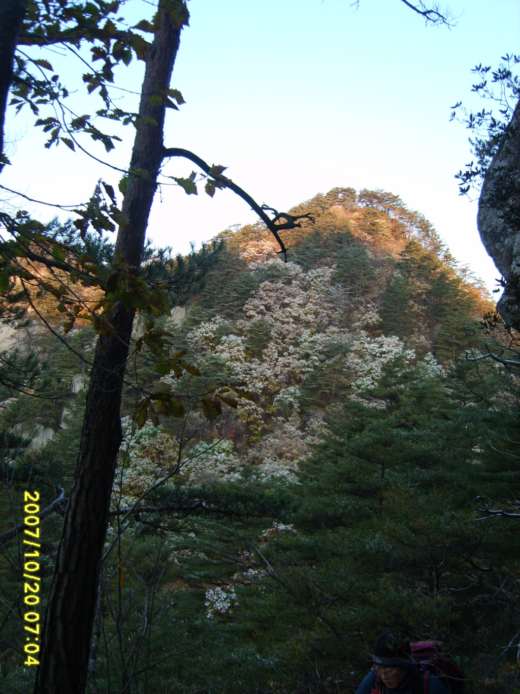 이미지를 클릭하면 원본을 보실 수 있습니다.