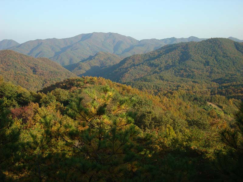 이미지를 클릭하면 원본을 보실 수 있습니다.