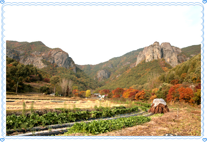 이미지를 클릭하면 원본을 보실 수 있습니다.