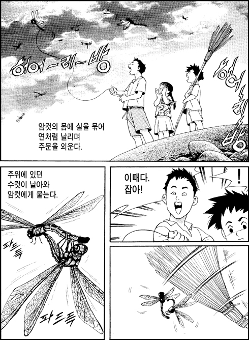 이미지를 클릭하면 원본을 보실 수 있습니다.