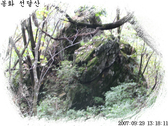 이미지를 클릭하면 원본을 보실 수 있습니다.
