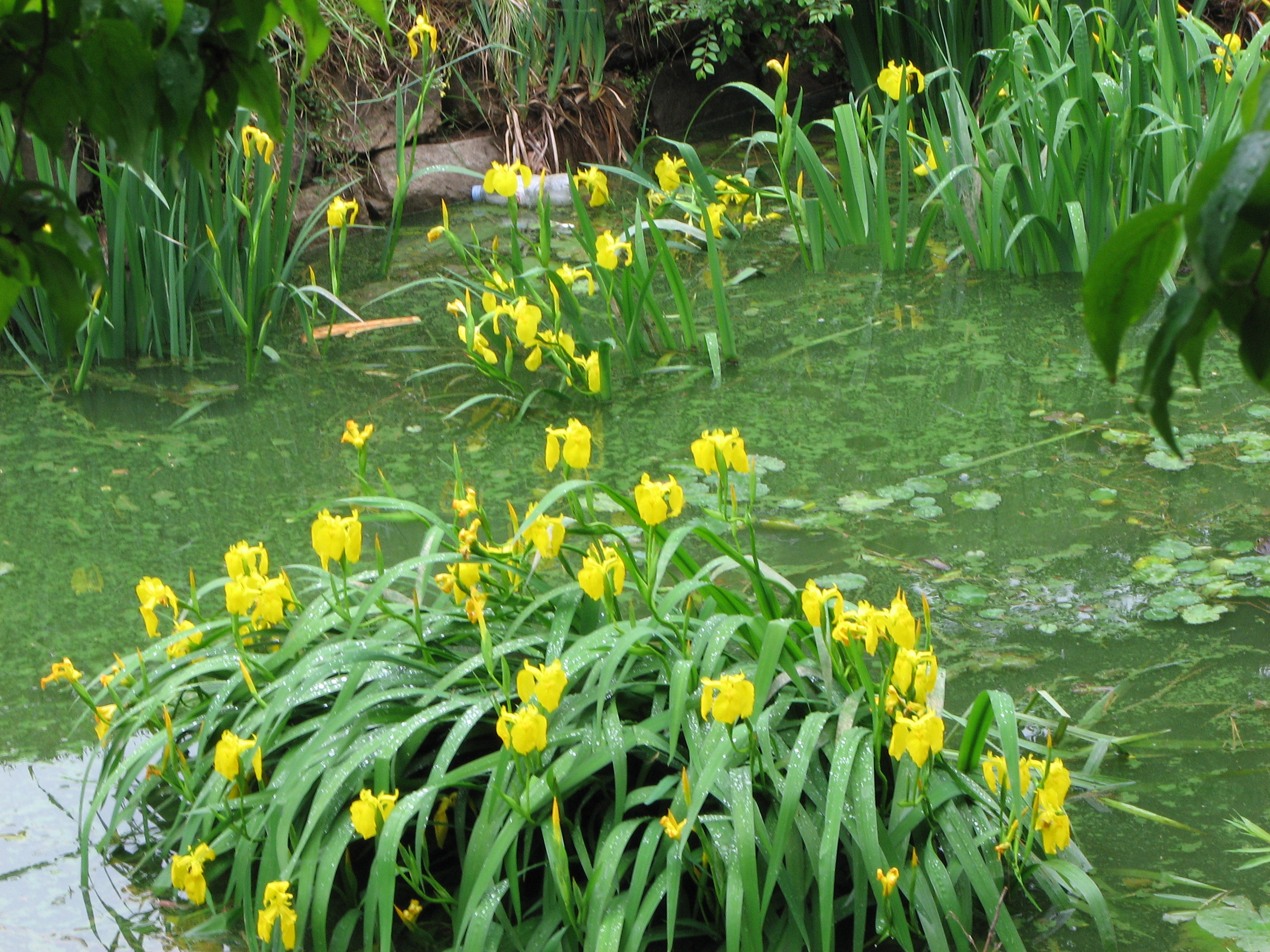 이미지를 클릭하면 원본을 보실 수 있습니다.