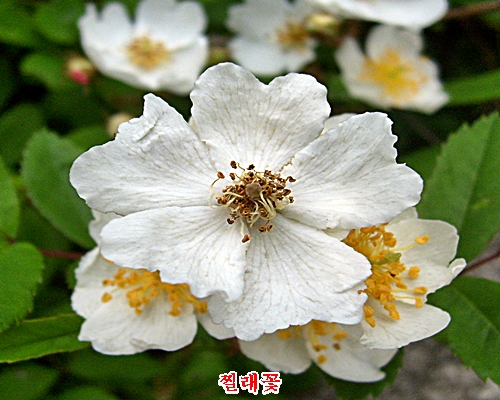 이미지를 클릭하면 원본을 보실 수 있습니다.