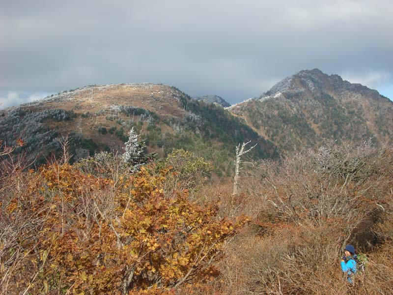 이미지를 클릭하면 원본을 보실 수 있습니다.