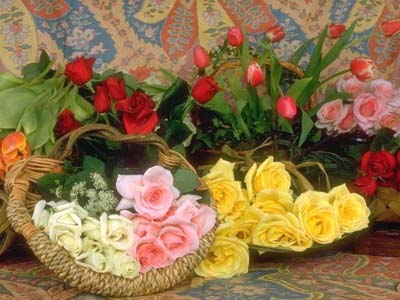 원문보기 클릭하세요.