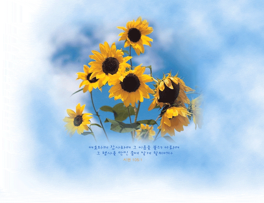 이미지를 클릭하면 원본을 보실 수 있습니다.