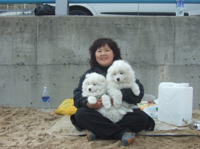 이미지를 클릭하면 원본을 보실 수 있습니다.