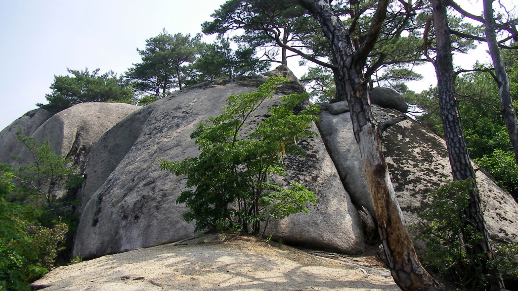 이미지를 클릭하면 원본을 보실 수 있습니다.