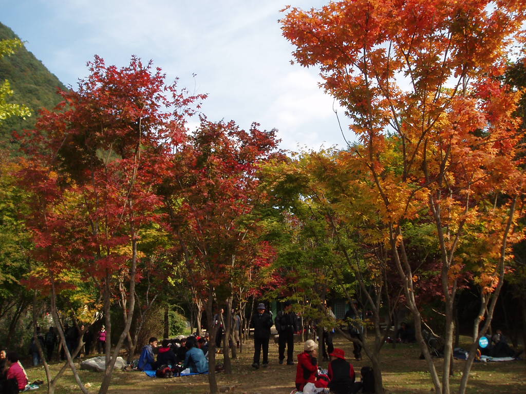 이미지를 클릭하면 원본을 보실 수 있습니다.