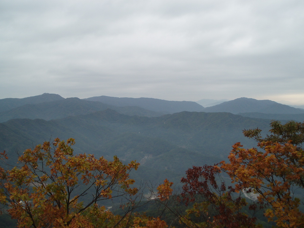 이미지를 클릭하면 원본을 보실 수 있습니다.