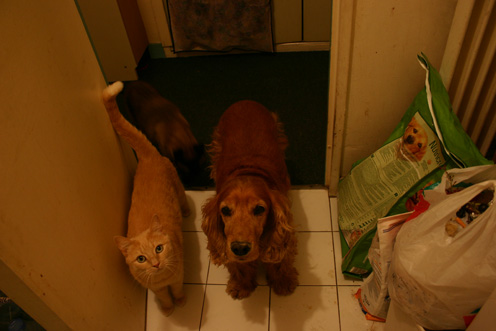 이미지를 클릭하면 원본을 보실 수 있습니다.