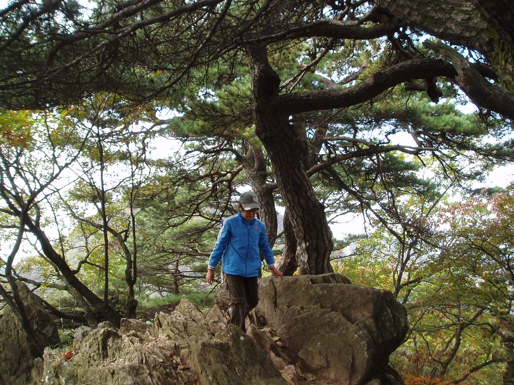 이미지를 클릭하면 원본을 보실 수 있습니다.