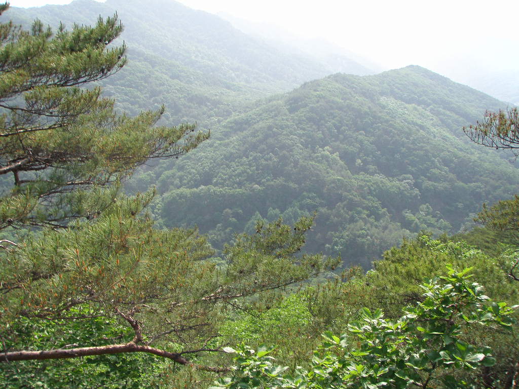 이미지를 클릭하면 원본을 보실 수 있습니다.