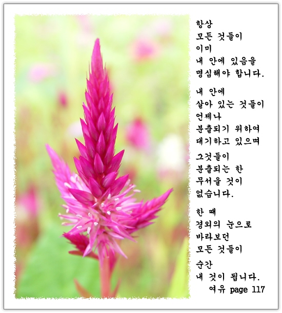 이미지를 클릭하면 원본을 보실 수 있습니다.