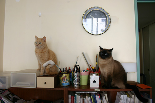 이미지를 클릭하면 원본을 보실 수 있습니다.