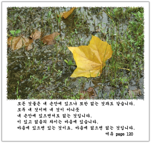 이미지를 클릭하면 원본을 보실 수 있습니다.