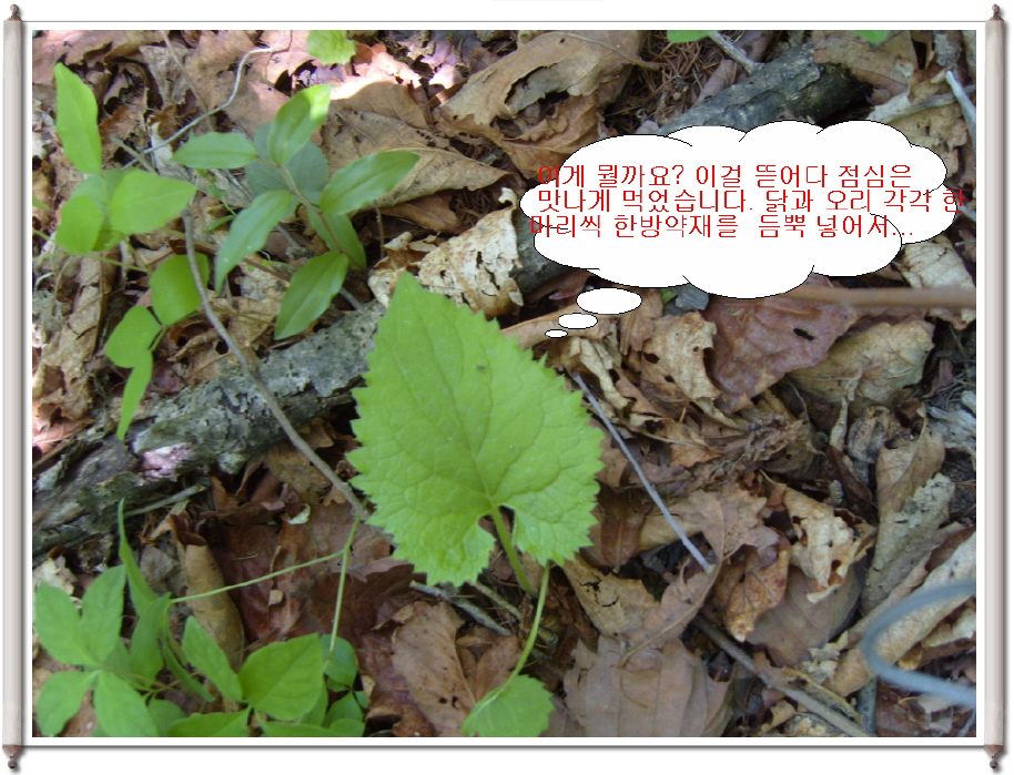 이미지를 클릭하면 원본을 보실 수 있습니다.