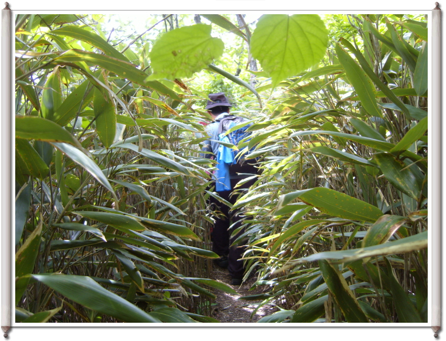 이미지를 클릭하면 원본을 보실 수 있습니다.
