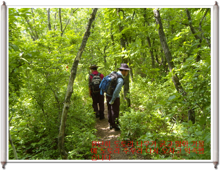 이미지를 클릭하면 원본을 보실 수 있습니다.