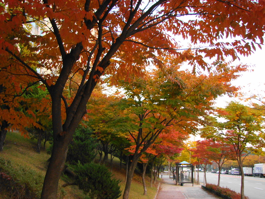 이미지를 클릭하시면 원본크기로 보실수 있습니다.