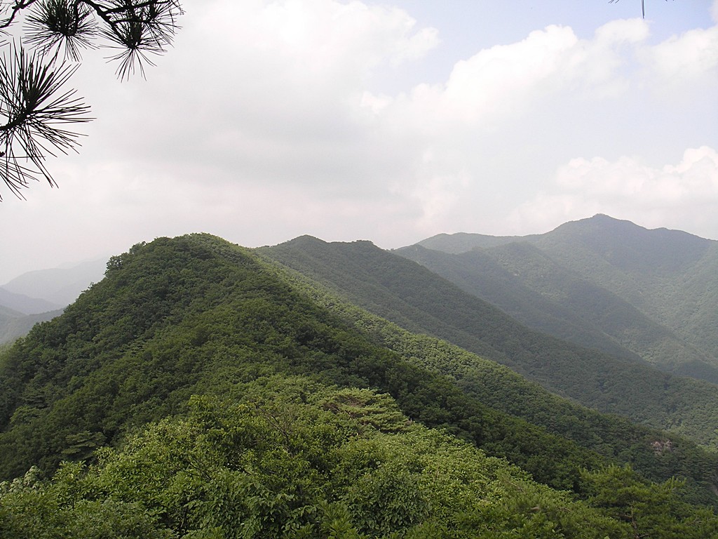 이미지를 클릭하면 원본을 보실 수 있습니다.