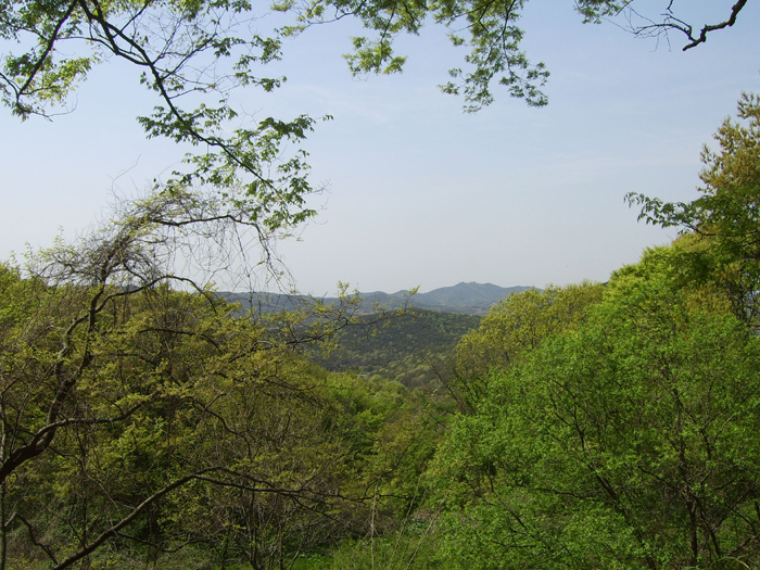 이미지를 클릭하면 원본을 보실 수 있습니다.